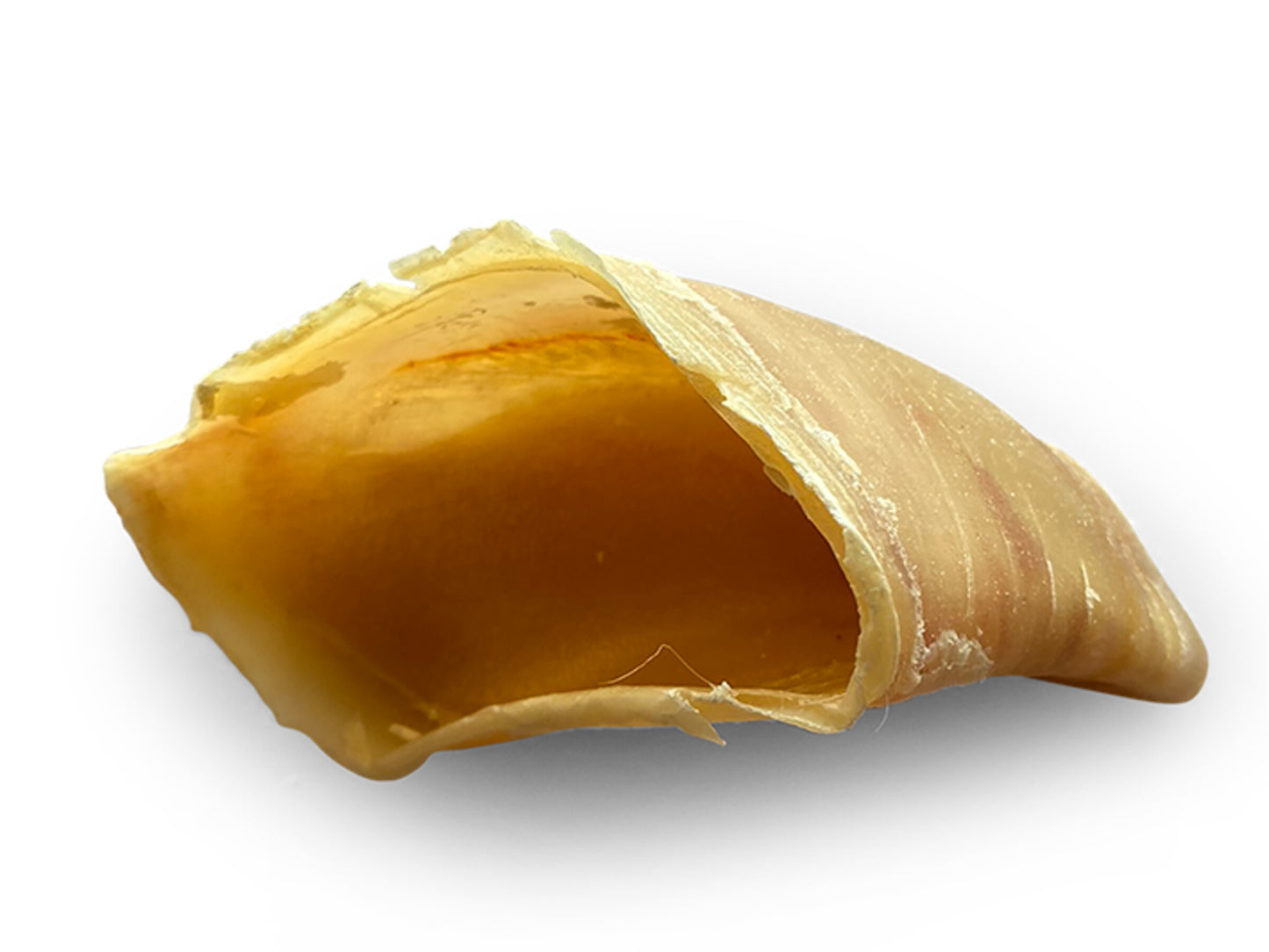Sabot de bœuf