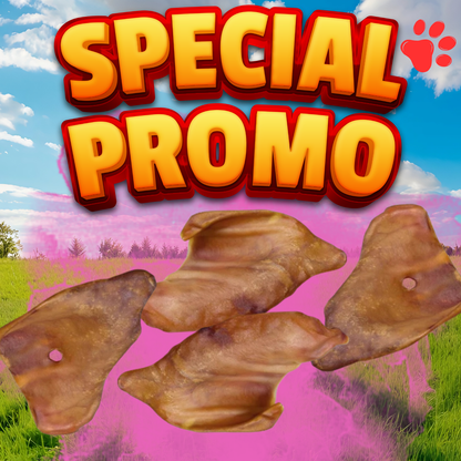 Oreille de Cochon 50 pces