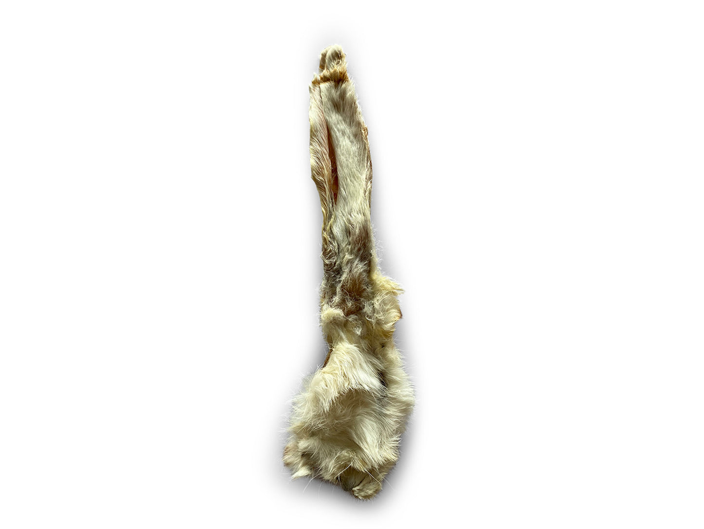 Oreilles de lapin 40 pces