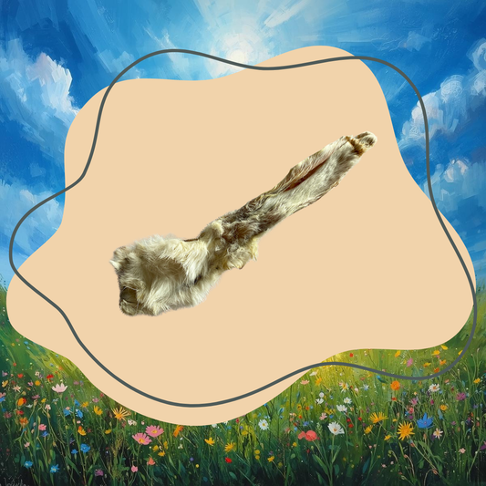 Oreille de lapin