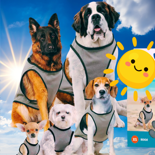 Gilet Rafraichissant chien