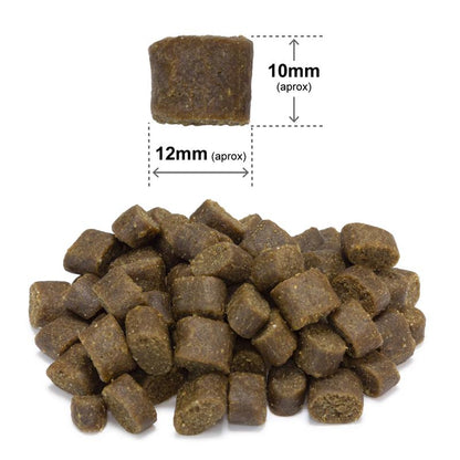 Arquivet Fresh Ocean Fish pour Chien 10kg