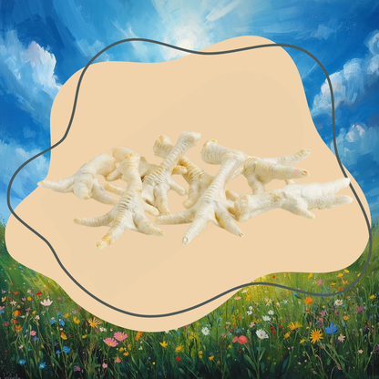Pattes de poulet blanches 10PCES