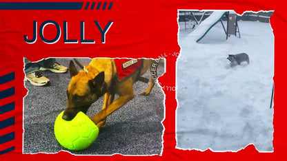 Ballon "Jolly Soccer Ball"