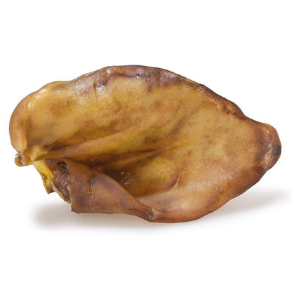 Oreille de Cochon 50 pces
